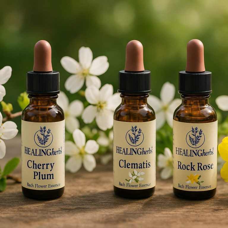 Bachblütenfläschchen für die Bachblütentherapie